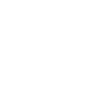 AI Icon